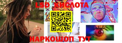 соль ск Новозыбков