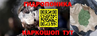 гидропоника Новодвинск